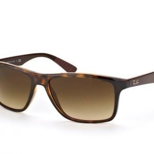 Ray-Ban RB 4234 6205/13 Aurinkolasit