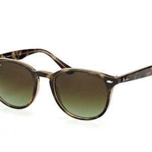 Ray-Ban RB 4259 731/E8 Aurinkolasit