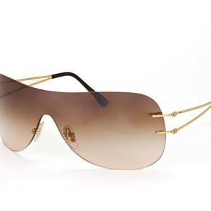 Ray-Ban RB 8057 157/13 Aurinkolasit