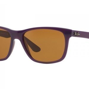 Ray-Ban RB4181 6034 Aurinkolasit