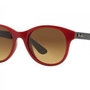 Ray-Ban RB4203 604485 Aurinkolasit