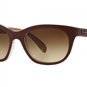 Ray-Ban RB4216 619313 Aurinkolasit