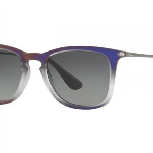 Ray-Ban RB4221 622311 Aurinkolasit