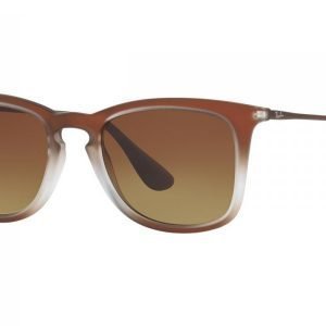 Ray-Ban RB4221 622413 Aurinkolasit