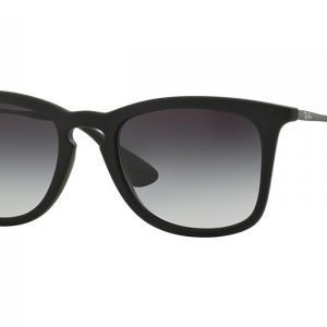 Ray-Ban RB4221 622/8G Aurinkolasit