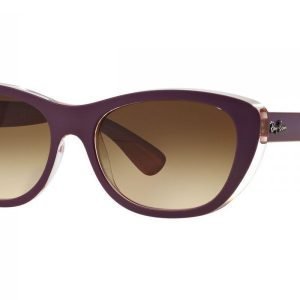 Ray-Ban RB4227 619213 Aurinkolasit