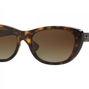 Ray-Ban RB4227 710/T5 Aurinkolasit