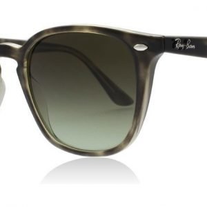 Ray-Ban RB4258 731/E8 Harmaa havanna Aurinkolasit