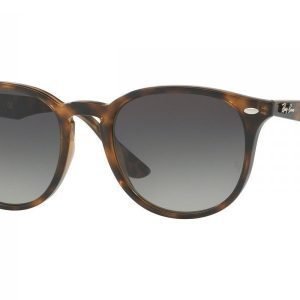 Ray-Ban RB4259 710/11 Aurinkolasit