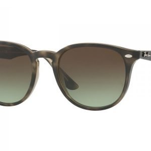 Ray-Ban RB4259 731/E8 Aurinkolasit