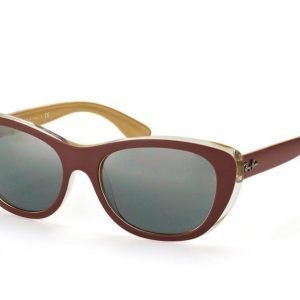 Ray-Ban rb4227 6193/88 Aurinkolasit